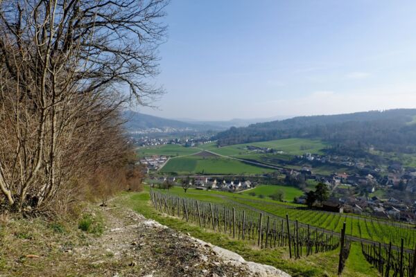 Gemütliche Wanderung durch den Regionalpark Aargau
