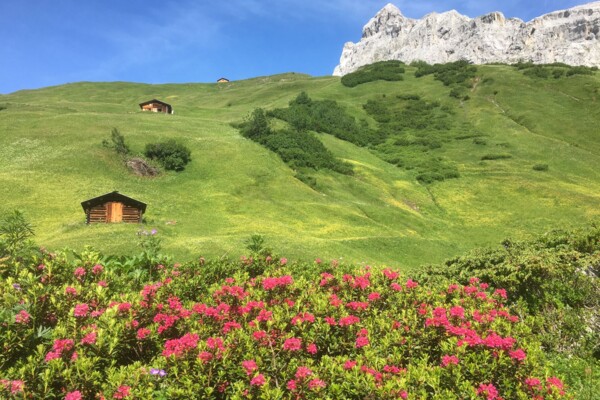Zwischen Stelsersee und Walserkultur