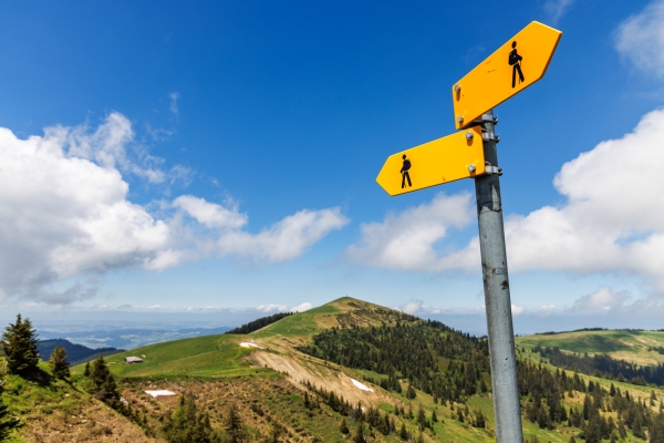 In typischer Greyerzer Landschaft