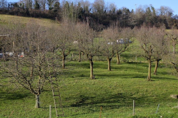 Im Baselbieter Tafeljura von Dorf zu Dorf