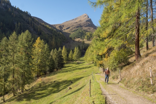 Vues grandioses à l’alpe Wiesner