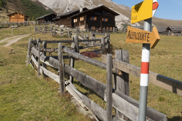 Aussichtstour auf die Wiesner Alp