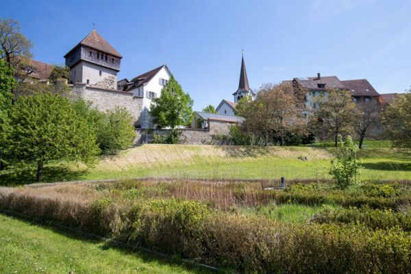Sur les traces du sel entre Diessenhofen et Schaffhouse