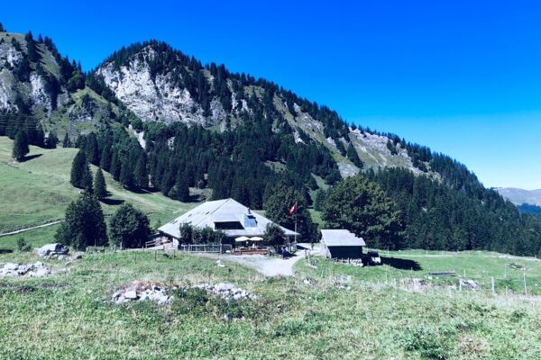 4.A Die Alpine