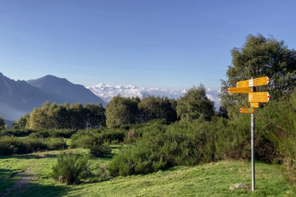 Rocce montonate nel Ticino meridionale