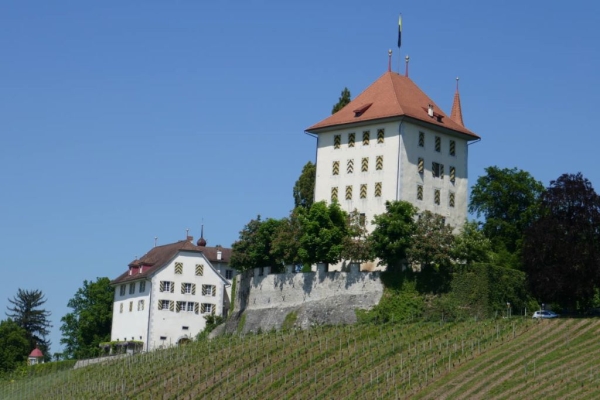 Rundwanderung am Baldeggersee - Schloss Heidegg
