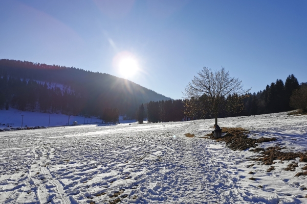 Weisses Weideland im Berner Jura