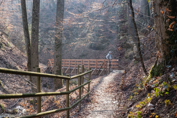 Cap sur le Ruedertal