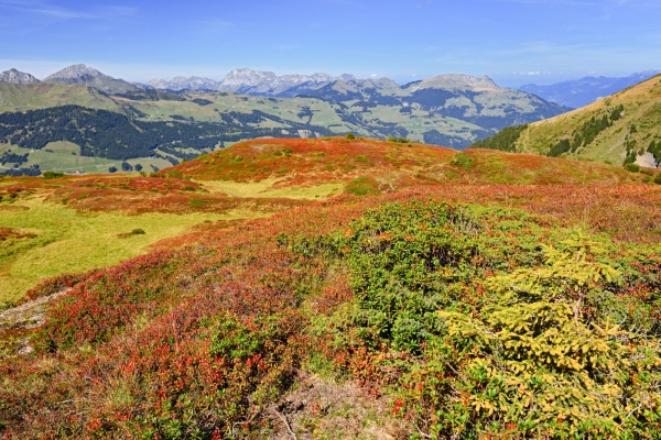 Au pied des Dents du Midi