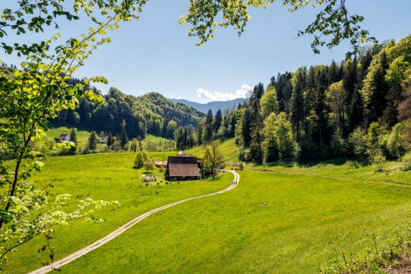 Excursion printanière dans un paysage de moraines