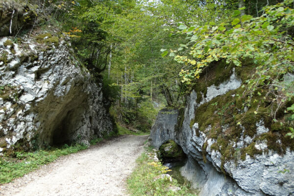 Fino al punto più alto di Delémont