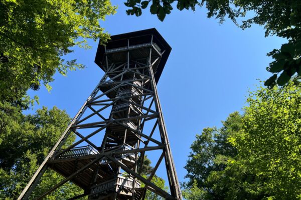 SAMICHLAUSWANDERUNG