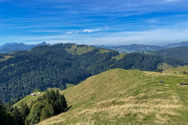 Durchs grüne Appenzellerland