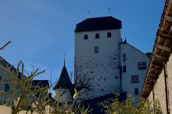 Eine Burg und ein Schloss im Aargau
