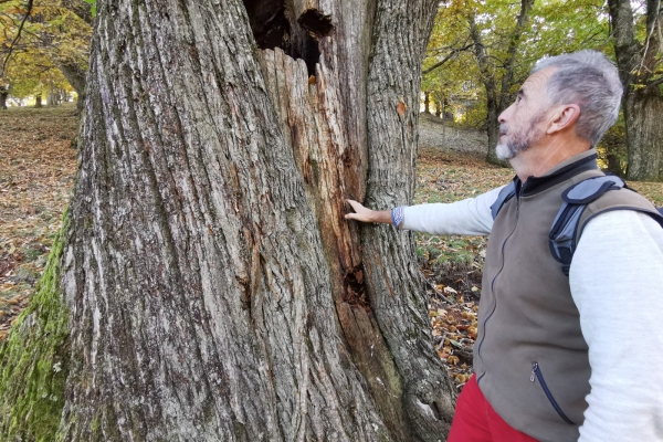 Randonnée dans le Malcantone