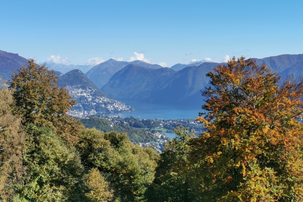 Escursioni nelle selve del Malcantone