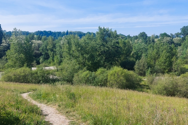 Wundervolle Flora und Fauna am Rhoneufer