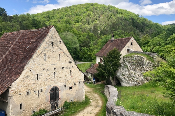 Escursione dei tre castelli nel Dorneck