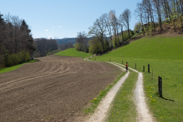 Lungo il sentiero alto della valle della Gürbe