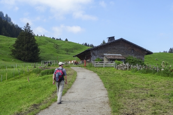 Aussichtsreiche Höhen in den Freiburger Voralpen