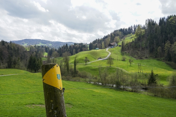 Ostschweizer Grenzwanderung durch wilde Schluchten
