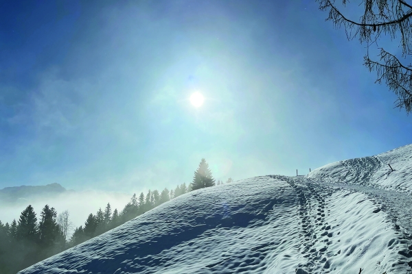 Winterwanderung - den Zauber der Appenzeller Winterlandschaft geniessen