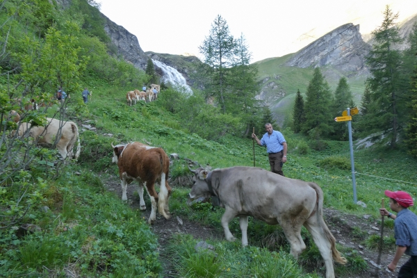 Am Wasserfall vorbei auf die Engstligenalp