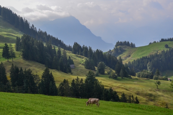 Mythenblick im Kanton Schwyz