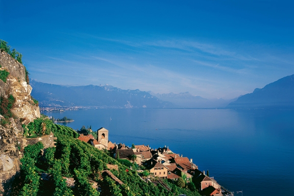 Les Terrasses de Lavaux