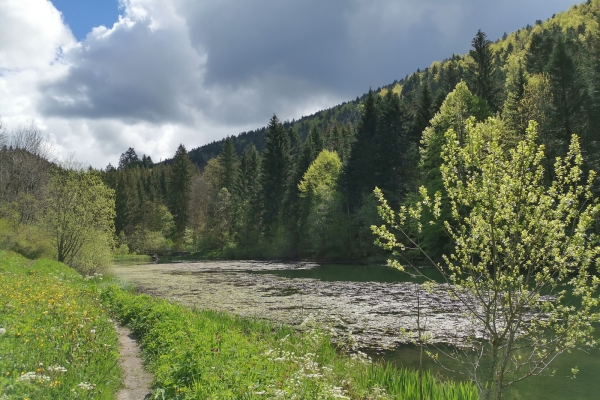 Wilde Schlucht in den Freibergen