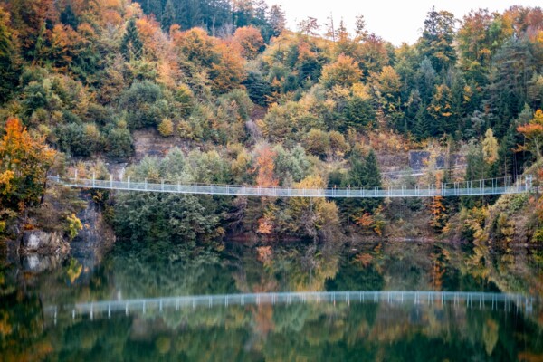 Vers les kames de la Gruyère