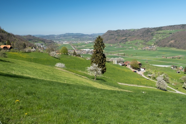 Auf dem Gürbetaler Höhenweg