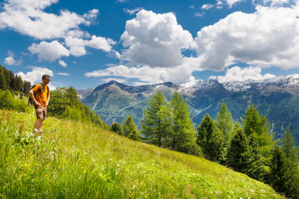 Blütenpracht hoch über dem Val Müstair