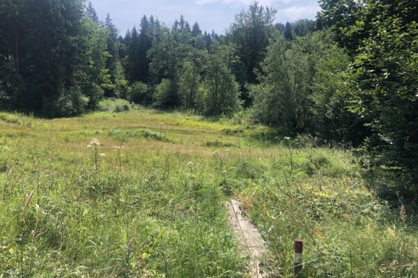 Durchs Jomerbachtal und über den Schauenberg