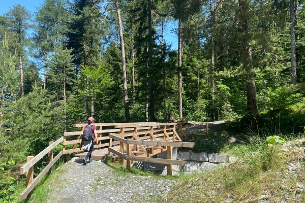 Entspannte Wanderung im Alpenrhein