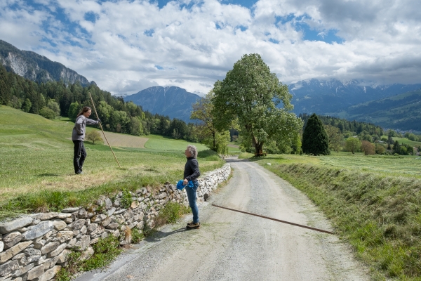 Tranquilla passeggiata in Domigliasca