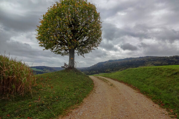 Im Jurapark Aargau
