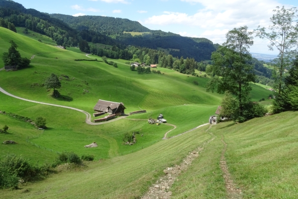 Tra il Pilatus e il Bürgenstock