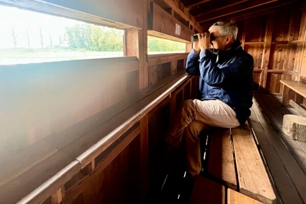 Wandern und beobachten in La Sauge