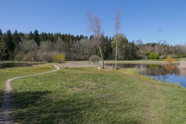 Dalla valle della Wyna al lago di Sempach