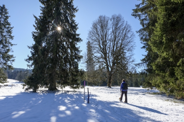 Winterliche Freiberge