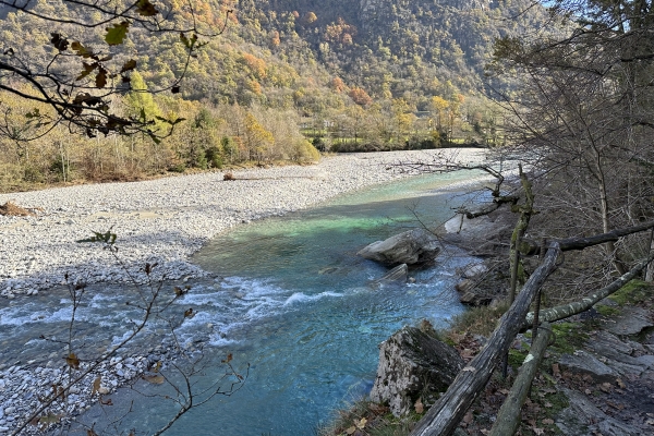 Sentiero naturalistico lungo le golene del fiume Maggia