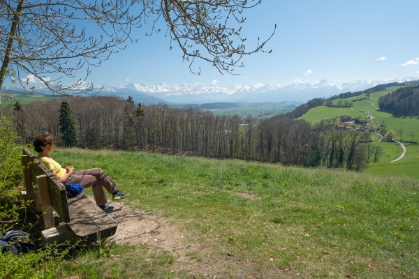 Sur le chemin panoramique du Gürbetal