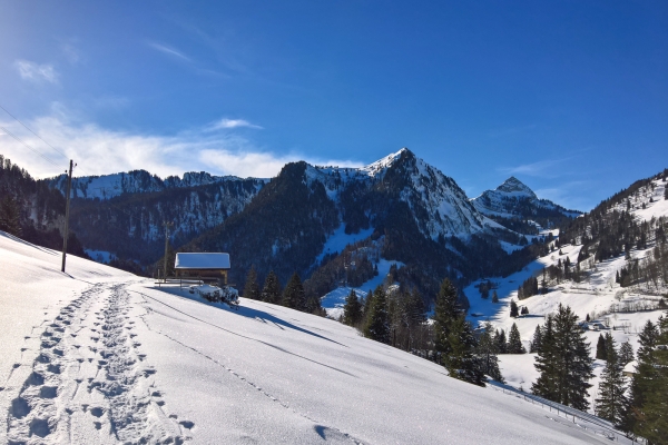 Einsamer Wintertag im Greyerzerland