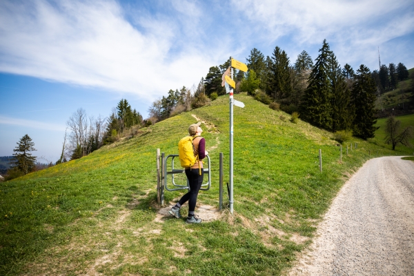 Surplomber la vallée de la Töss au Hörnli