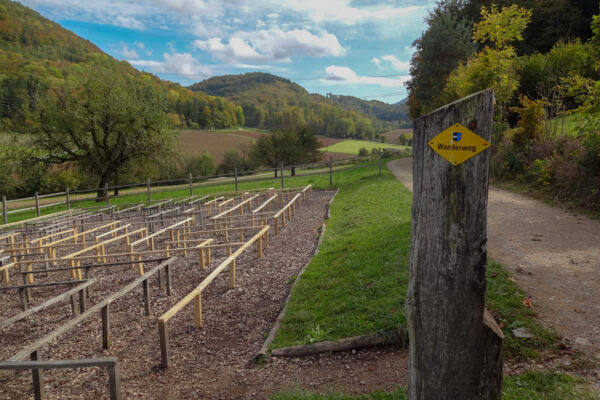 Im Jurapark Aargau