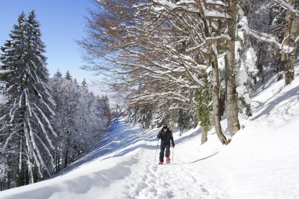 Den ganzen Tag im Schnee