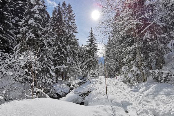 Winterliche Tour im Tal der Salentse