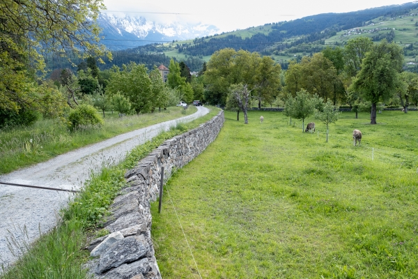 Beschaulicher Spaziergang im Domleschg