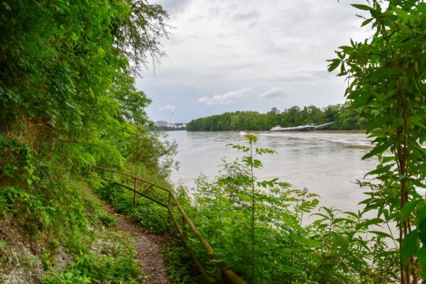 Auf dem Uferweg zum Baselbieter Hardwald